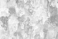 Tree bark png overlay texture, transparent background