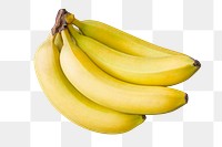 Banana bunch png clipart, yellow fruit on transparent background