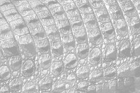 Crocodile skin png overlay texture, abstract design on transparent background