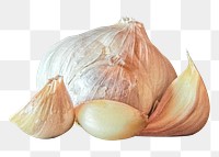 Garlic png clipart, vegetable, food ingredient