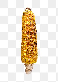 Png grilled corn sticker, food photography, transparent background