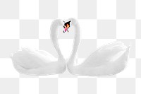 Mute swans png clipart, bird, transparent background