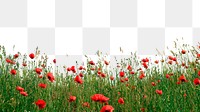 Poppy field png sticker border on transparent background