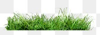 Green grass png sticker on transparent background