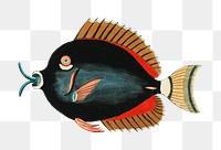 Vintage fish png sticker, aquatic animal surreal illustration, remix from the artwork of Louis Renard