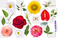 PNG spring flower sticker, transparent background