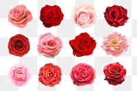 PNG red flower sticker, valentine's floral design, transparent background set