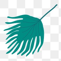 Fan palm leaf png clip art, aesthetic tropical illustration on transparent background