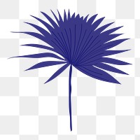 Fan palm leaf png sticker, aesthetic tropical collage element on transparent background