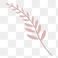 Pink acacia leaf png sticker, aesthetic tropical collage element on transparent background