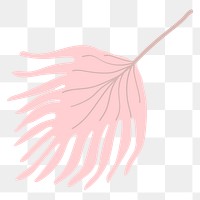 Pink fan palm png sticker, aesthetic tropical collage element on transparent background