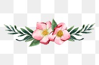 Blooming hellbore png flower border, winter watercolor sticker on transparent background