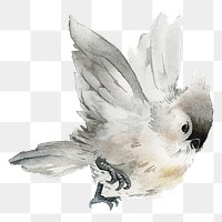Titmouse bird png clipart, winter animal illustration on transparent background