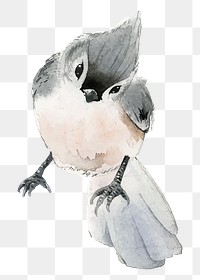 Titmouse bird png clipart, winter animal illustration on transparent background