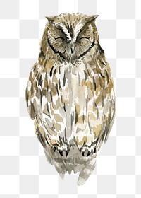 Eagle owl png clipart, watercolor bird illustration on transparent background