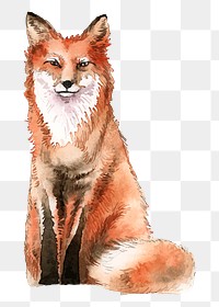 Sitting fox png clipart, watercolor animal illustration on transparent background