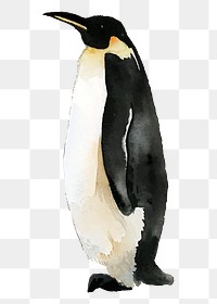 Watercolor penguin png clipart, animal illustration on transparent background