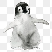 Baby penguin png clipart, watercolor animal illustration on transparent background