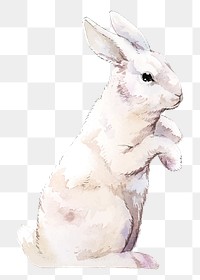 Easter rabbit png clipart, watercolor animal illustration on transparent background