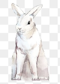 Easter bunny png clipart, watercolor animal illustration on transparent background