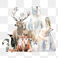 Watercolor animal png sticker, winter wildlife illustration set on transparent background