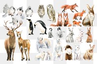 Watercolor animal png sticker, winter wildlife illustration set on transparent background