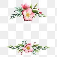 Flower png laurel border, green watercolor design on transparent background