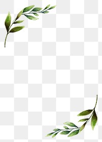 Watercolor leaf png border frame, transparent background