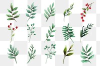 Aesthetic png leaf sticker, watercolor winter botanical illustration set on transparent background