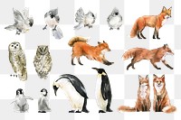 Watercolor animal png sticker, winter wildlife illustration set on transparent background