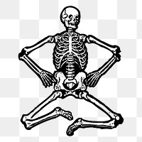 Human skeleton png clipart, transparent background. Free public domain CC0 graphic