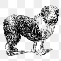 PNG sheepdog, vintage animal clipart, transparent background. Free public domain CC0 graphic