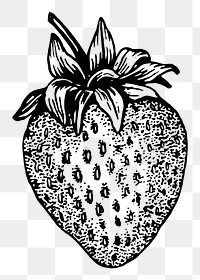 Hand drawn strawberry clipart, transparent background. Free public domain CC0 graphic