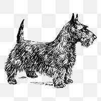 Dog png, Scottish terrier clipart, transparent background. Free public domain CC0 graphic