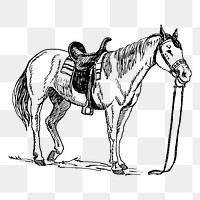 Saddled horse png, animal clipart, transparent background. Free public domain CC0 graphic