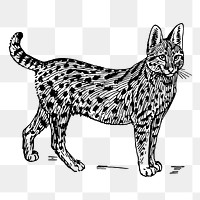 Vintage serval, wild cat clipart, transparent background. Free public domain CC0 graphic