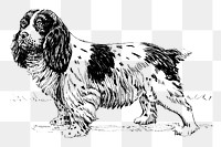 Spaniel dog png, animal clipart, transparent background. Free public domain CC0 graphic
