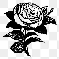 Rose png vintage flower clipart, transparent background. Free public domain CC0 graphic