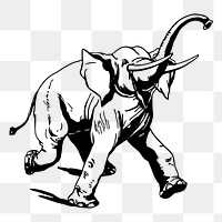 Vintage elephant png, animal clipart, transparent background. Free public domain CC0 graphic