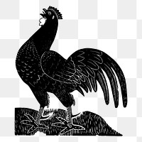 Vintage rooster png, animal clipart, transparent background. Free public domain CC0 graphic