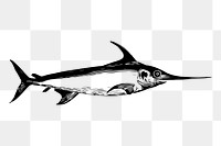 Swordfish drawing png, animal sticker vintage illustration, transparent background. Free public domain CC0 image.