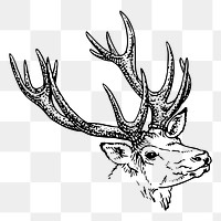 Reindeer stag png sticker drawing vintage illustration, transparent background. Free public domain CC0 image.