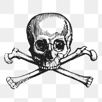 Human skull png sticker vintage illustration, transparent background. Free public domain CC0 image.