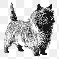 Cairn Terrier dog png drawing sticker vintage illustration, transparent background. Free public domain CC0 image.