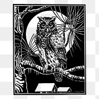 Eagle owl png sticker, vintage bird drawing on transparent background. Free public domain CC0 image.