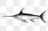 Swordfish png drawing, vintage hand drawn sea animal illustration, transparent background. Free public domain CC0 image.