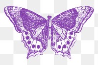 Purple butterfly png sticker, vintage insect illustration, transparent background. Free public domain CC0 image.