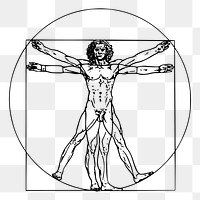 PNG Leonardo da Vinci inspired Vitruvian man drawing, human anatomy illustration psd. Free public domain CC0 image.