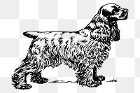 Cocker spaniel dog png sticker, hand drawn illustration, transparent background. Free public domain CC0 image.