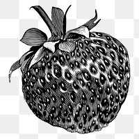 Strawberry png sticker vintage fruit drawing, transparent background. Free public domain CC0 image.